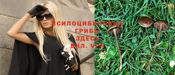 герыч Богданович