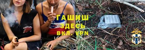 mix Богородицк