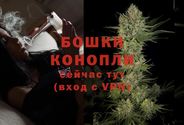 индика Бугульма
