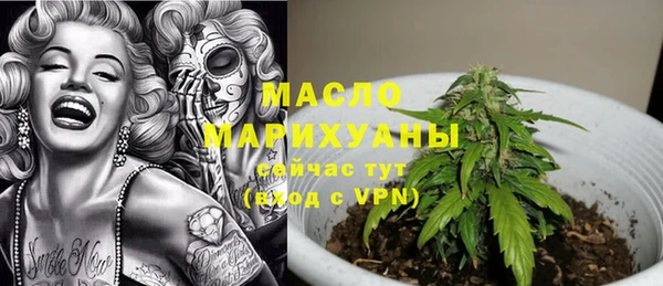 mix Богородицк