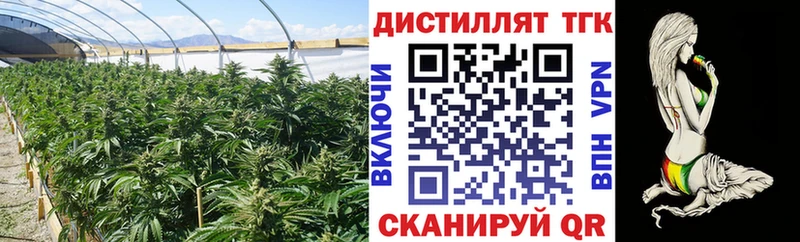 ТГК концентрат  Клин 