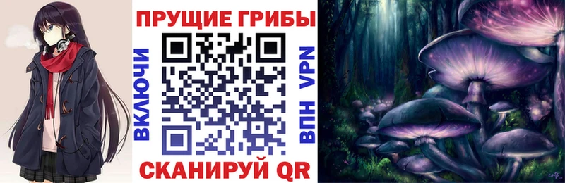 Псилоцибиновые грибы MAGIC MUSHROOMS  Клин 